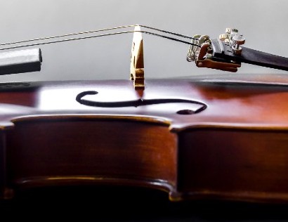 violin